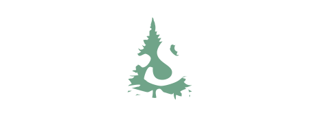 Norstate Federal Credit Union Large Logo